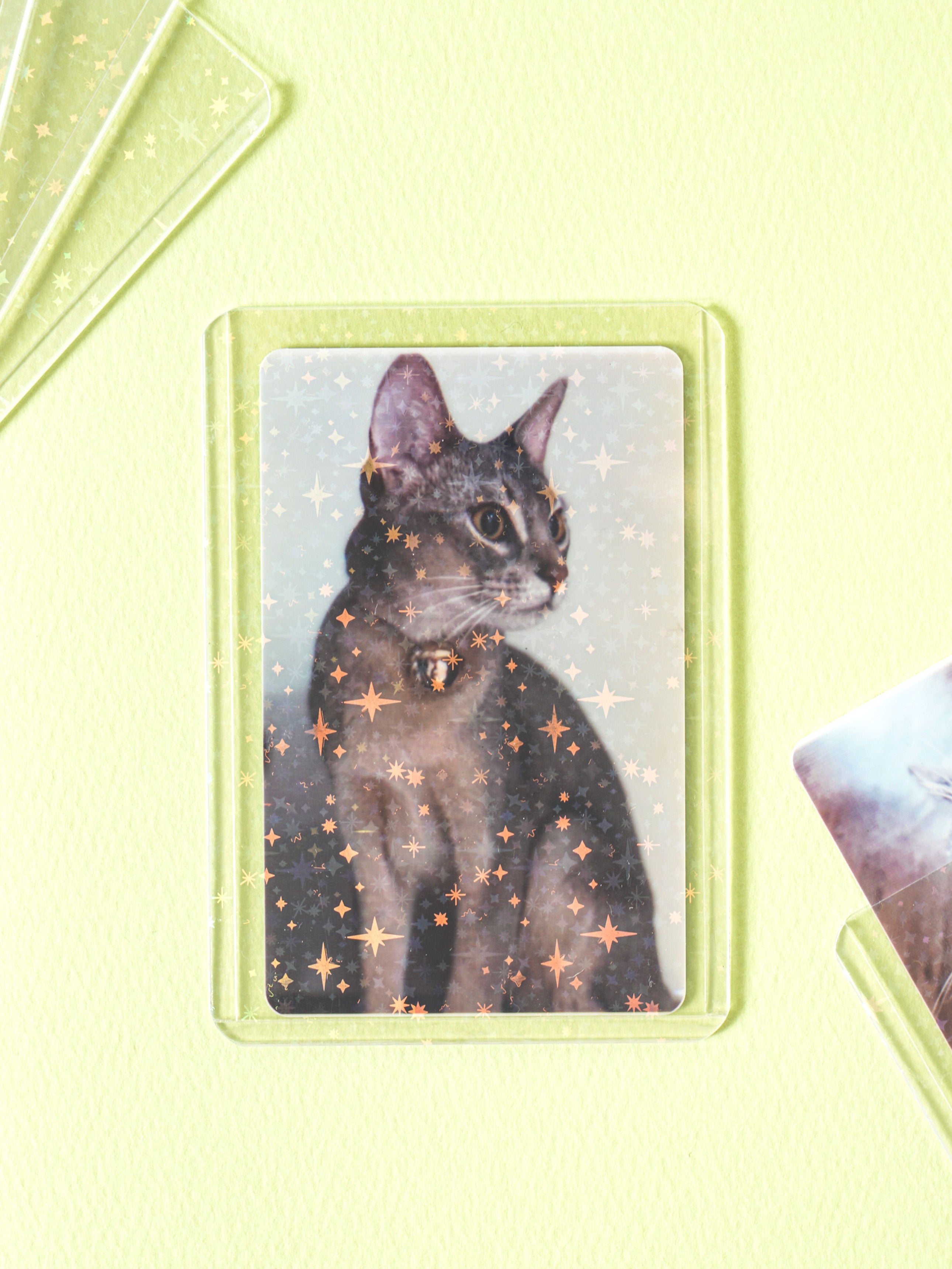 Daiso Bulkku Hologram Mini Top Loader – K-pop photocard holder